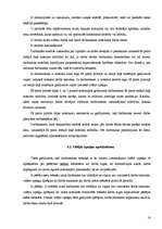 Referāts 'Norēķini par darba samaksu, to organizācija un pilnveidošanas iespējas ', 16.