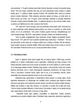 Referāts 'Briļļu attīstība un modes tendences', 9.