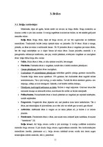 Referāts 'Briļļu attīstība un modes tendences', 11.