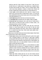 Referāts 'Briļļu attīstība un modes tendences', 15.