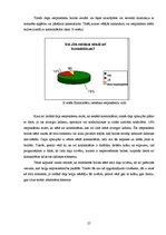 Referāts 'Briļļu attīstība un modes tendences', 27.