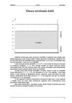 Referāts 'Ozons', 3.