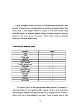 Diplomdarbs 'Grupas veida aprūpes modeļa ieviešanas iespējas klīnikā', 53.