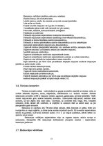 Referāts 'Rudens ekskursija "Sprīdīša pēdās"', 13.
