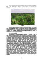 Referāts 'Rudens ekskursija "Sprīdīša pēdās"', 20.