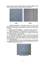 Referāts 'Rudens ekskursija "Sprīdīša pēdās"', 41.