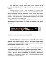 Diplomdarbs 'Interneta reklāmu izmantošanas iespējas uzņēmuma "Namu apsaimniekotājs" klientu ', 11.