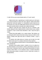 Diplomdarbs 'Interneta reklāmu izmantošanas iespējas uzņēmuma "Namu apsaimniekotājs" klientu ', 44.