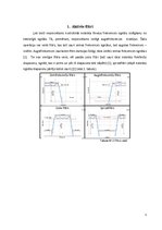 Referāts 'Trešās kārtas zemfrekvenču filtrs', 5.