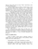 Referāts 'Skaistumkopšanas salona "Nikita" mārketinga vides un stratēģijas analīze, darbīb', 8.
