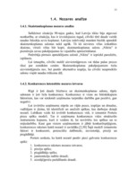 Referāts 'Skaistumkopšanas salona "Nikita" mārketinga vides un stratēģijas analīze, darbīb', 13.