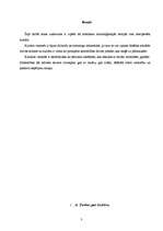 Referāts 'Kultūras interpretācija socioloģiskajās teorijās', 3.