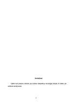 Referāts 'Kultūras interpretācija socioloģiskajās teorijās', 8.