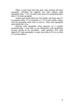 Referāts 'Mežsaimniecība', 16.