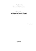 Referāts 'Reklāmas izplatīšanas līdzekļi', 1.