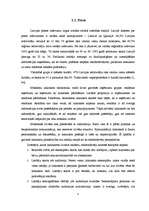 Referāts 'Reklāmas izplatīšanas līdzekļi', 5.