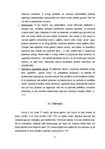 Referāts 'Reklāmas izplatīšanas līdzekļi', 12.