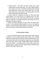 Referāts 'Reklāmas izplatīšanas līdzekļi', 17.