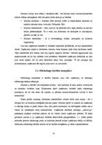 Referāts 'Reklāmas izplatīšanas līdzekļi', 19.