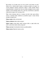 Referāts 'Skolēnu mācību sasniegumus veicinoša mācību vide', 4.