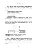 Referāts 'Skolēnu mācību sasniegumus veicinoša mācību vide', 6.