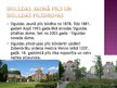 Prezentācija 'Mana pilsēta Sigulda', 4.