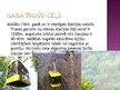 Prezentācija 'Mana pilsēta Sigulda', 5.