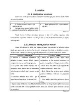 Konspekts 'Ernesta Gulbja tenisista karjeras atspoguļojums presē. Kontentanalīze', 2.