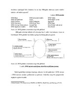 Referāts 'Mārketinga pētījumos izmantojamo datorprogrammu raksturojums', 12.