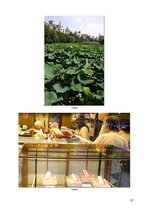 Referāts 'Business Culture in Japan. Biznesa kultūra Japānā', 19.