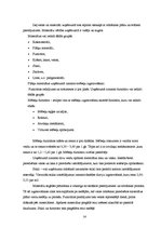 Prakses atskaite 'SIA "SC koks" ražošanas organizācija un vadība', 14.