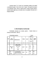 Referāts 'Zemes darbi. Būvbedres izstrāde', 25.