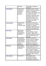 Konspekts 'E-veikalu analīze Latvijā', 2.