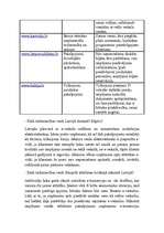 Konspekts 'E-veikalu analīze Latvijā', 3.