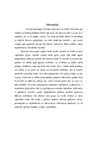 Referāts 'Nelaimes gadījumi un darba drošība', 3.