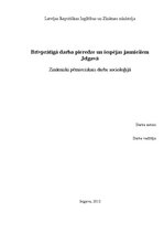 Referāts 'Brīvprātīgā darba pieredze un iespējas jauniešiem Jelgavā', 1.