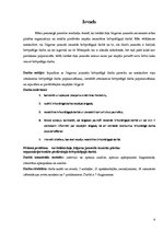 Referāts 'Brīvprātīgā darba pieredze un iespējas jauniešiem Jelgavā', 4.