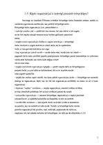 Referāts 'Brīvprātīgā darba pieredze un iespējas jauniešiem Jelgavā', 7.