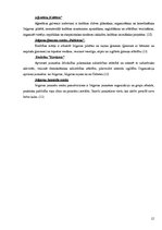 Referāts 'Brīvprātīgā darba pieredze un iespējas jauniešiem Jelgavā', 15.