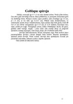 Referāts 'Rožu dzimta', 11.