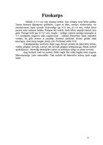 Referāts 'Rožu dzimta', 13.