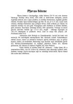 Referāts 'Rožu dzimta', 15.