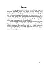 Referāts 'Rožu dzimta', 27.