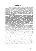 Referāts 'Rožu dzimta', 28.