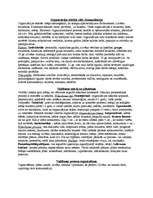 Konspekts 'Vadības teorija', 2.