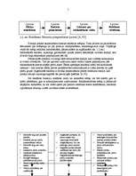 Referāts 'Reklāmas nozīme aktīvajā tūrismā', 5.