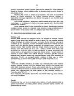 Referāts 'Reklāmas nozīme aktīvajā tūrismā', 23.