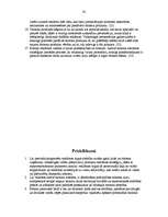 Referāts 'Reklāmas nozīme aktīvajā tūrismā', 30.