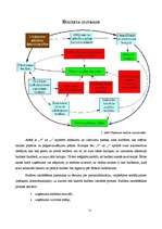 Referāts 'Budžeta plānošanas pamatprincipi', 11.
