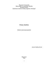 Referāts 'Prionu slimības', 1.